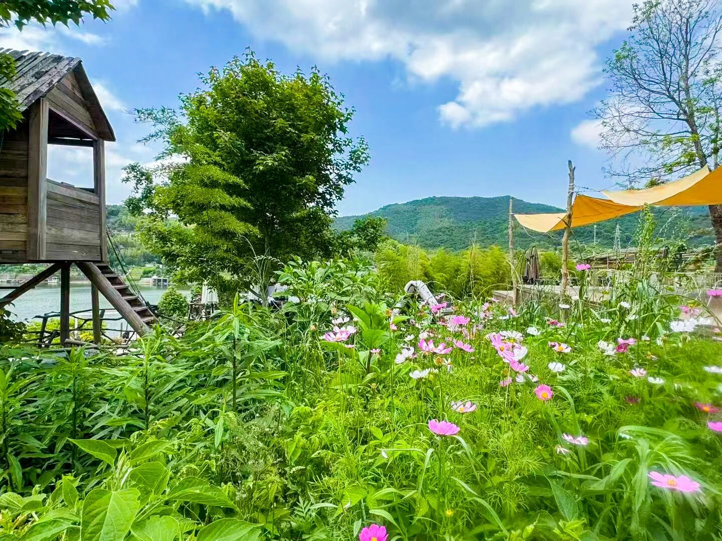 1779675137134629.jpg 微信图片_2026-05-25_101043_143.jpg